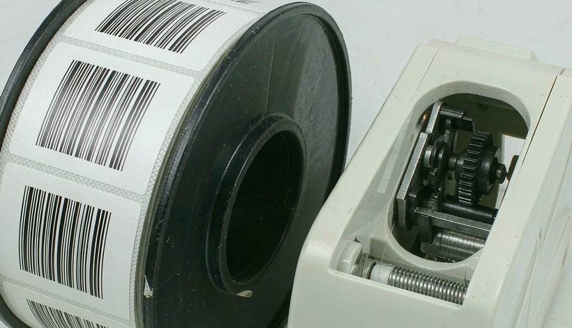 Container Loading Basics — Classic Cotton Coil Pods for Export — Classic Cotton Coil Pods Bulk